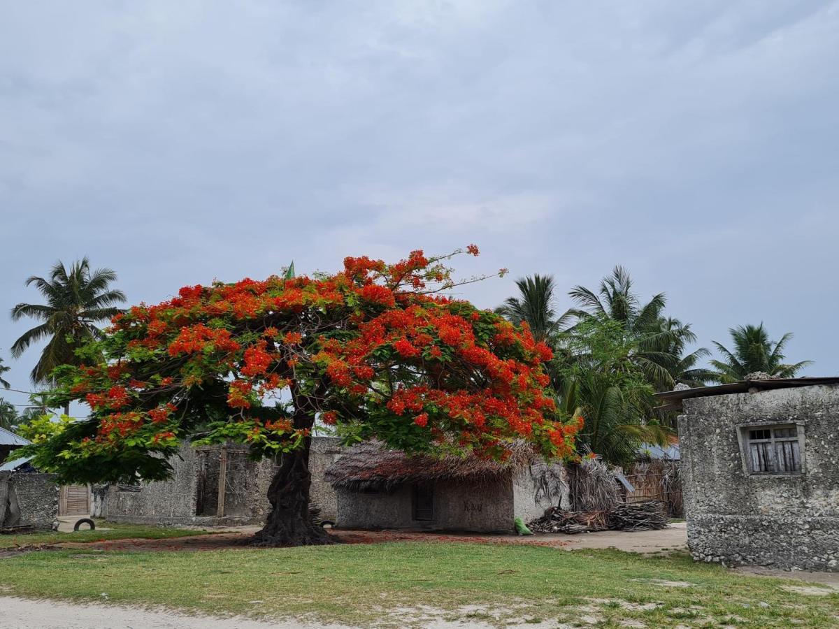 Beachfront Villa Ladha Ya Zanzibar Jambiani  Exterior foto