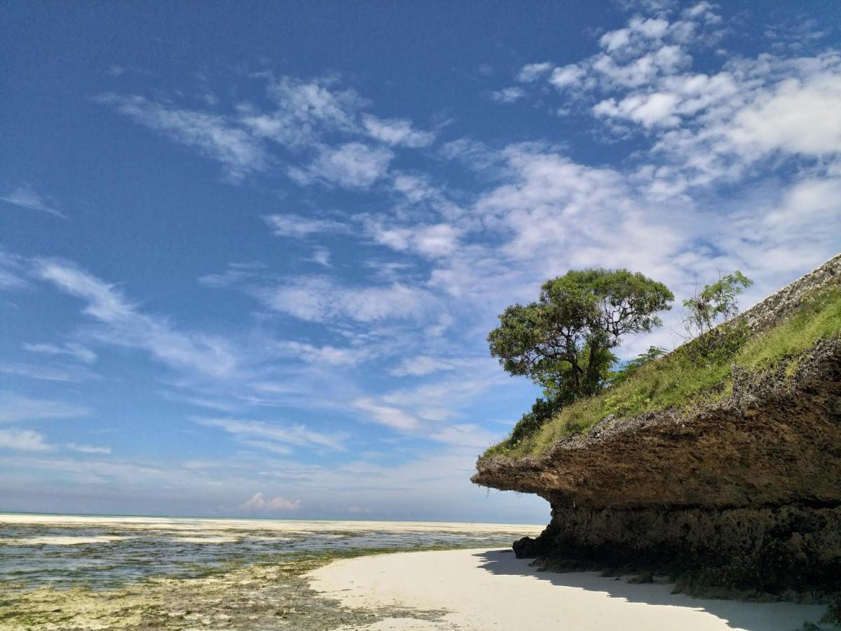 Beachfront Villa Ladha Ya Zanzibar Jambiani  Exterior foto