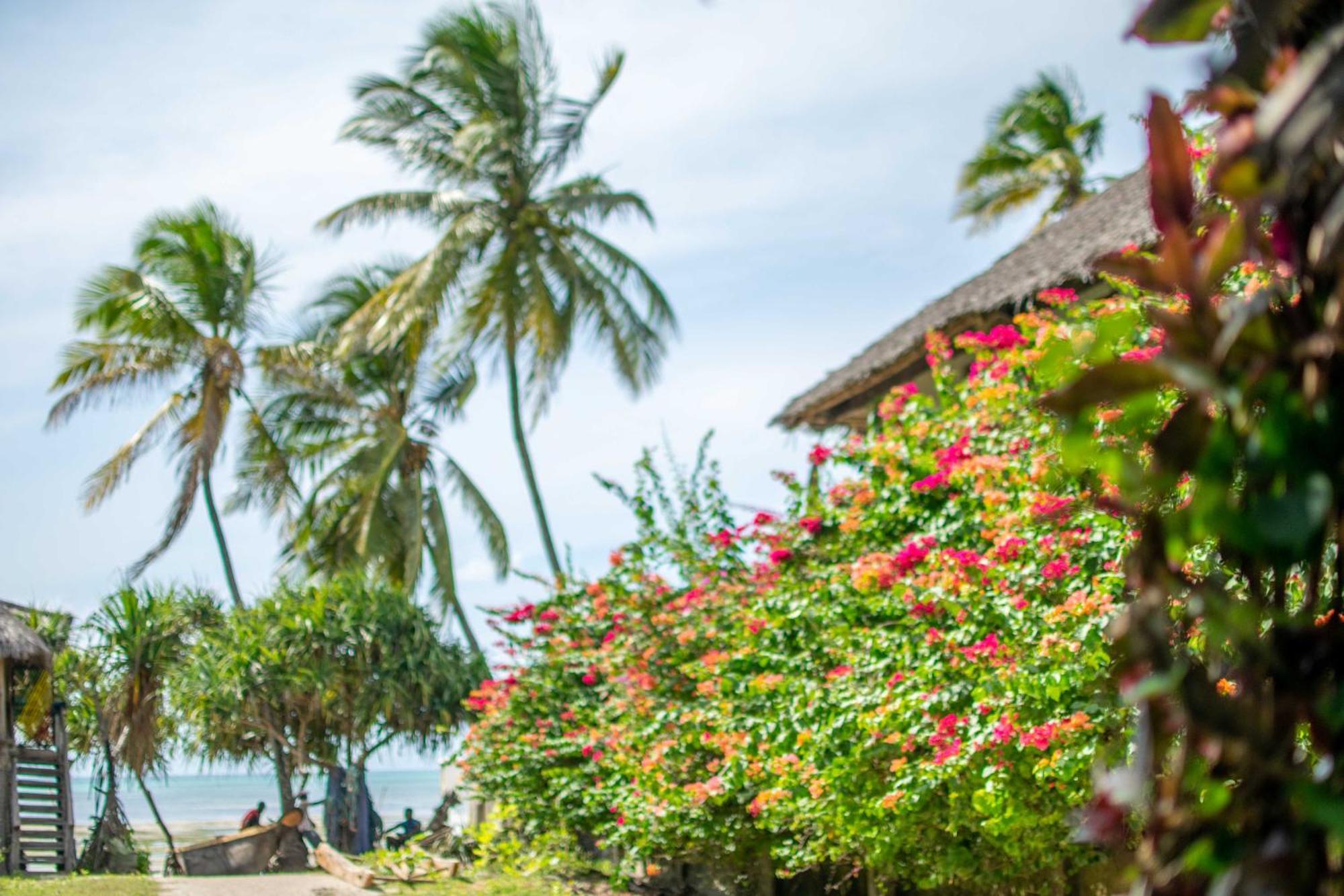 Beachfront Villa Ladha Ya Zanzibar Jambiani  Exterior foto